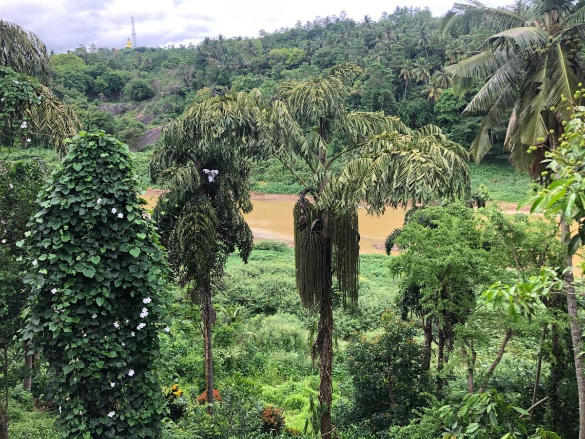 Kandy Rivers Edge Nature Resort Bagian luar foto