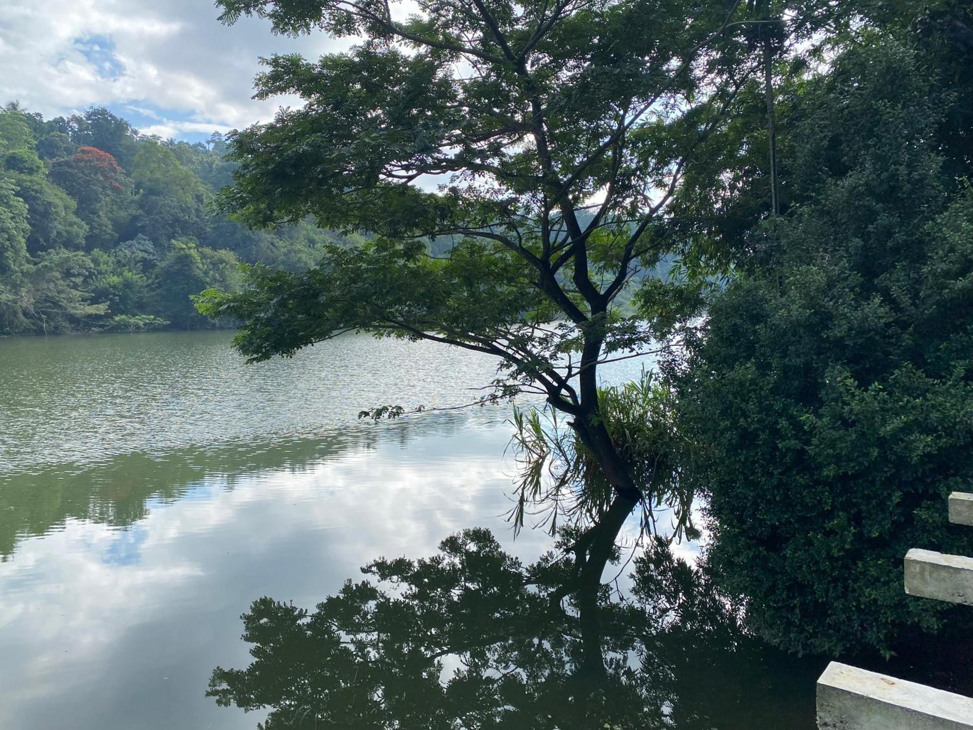 Kandy Rivers Edge Nature Resort Bagian luar foto