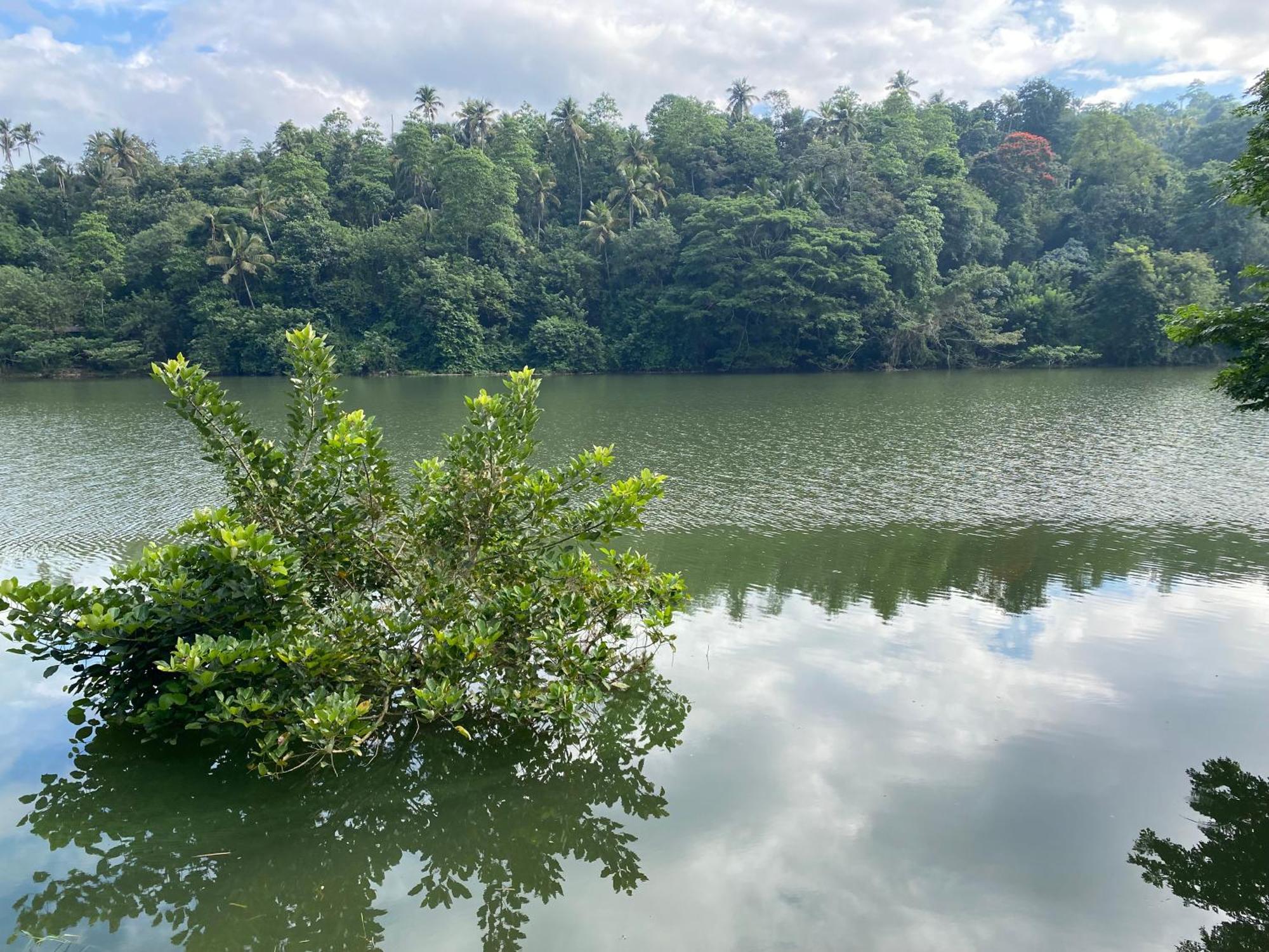 Kandy Rivers Edge Nature Resort Bagian luar foto